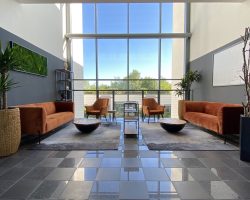 Vermieten und Vermarkten